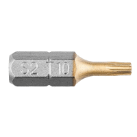 Bity Torx TX10 x 25 mm, 2 ks GRAPHITE