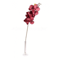 Orchidea ks, 95cm