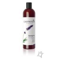 Carpathia Herbarium šampón na mastné vlasy 350 ml