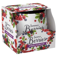 Vonná sviečka v skle 100g Summer Berries SANTO CANDLES