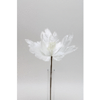 Poinsercia 38cm červená