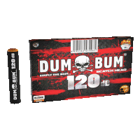 Dum bum 120