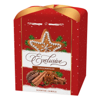 Vonná sviečka EXCLUSIVE 100g XMAS Gingerbread SANTO CANDLES