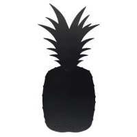 Tabuľa PINEAPPLE 49x23,6cm + 1 biely popisovač SECURIT PRO