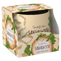 Vonná sviečka v skle 100g SandalWood SANTO CANDLES