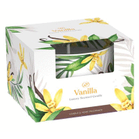 Vonná sviečka v skle 115g Vanilla SANTO CANDLES