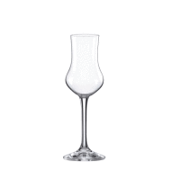 Grappa WINE FESTIVAL 90 ml 6ks/bal RONA