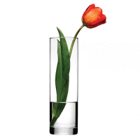 Sklenená váza na kvety Flora 26,5 cm PASABAHCE