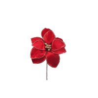 Magnólia pik vianočný 36cm červená