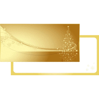 Darčeková obálka na peniaze GOLD XMAS 21x10cm ALVARAK