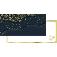 Darčeková obálka na peniaze 21x10cm vločky ALVARAK