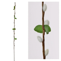 Detail - Bahniatka s lístkami 75cm biele Bahniatka s lístkami 75cm biele