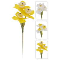 Narcis, 20cm