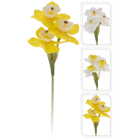 Narcis 20cm