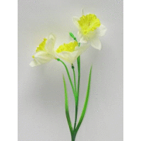 Narcis 3x II.