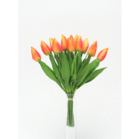 Kytica tulipán viaz. x10