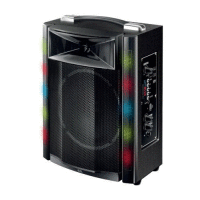 Párty reprobox,30W SAL