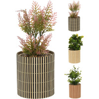 Dekoračná rastlina v kvetináči Bamboo 26cm