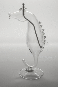 Svietnik olejový - morský koník