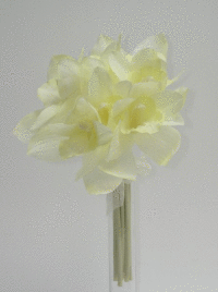 Kytica orchidea viaz.