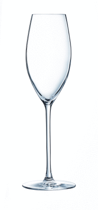 Pohár na šampanské VERRE 24cl 6ks LUMINARC