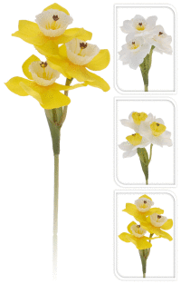 Narcis 20cm