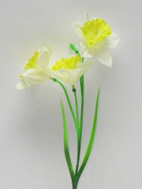 Narcis 3x II.